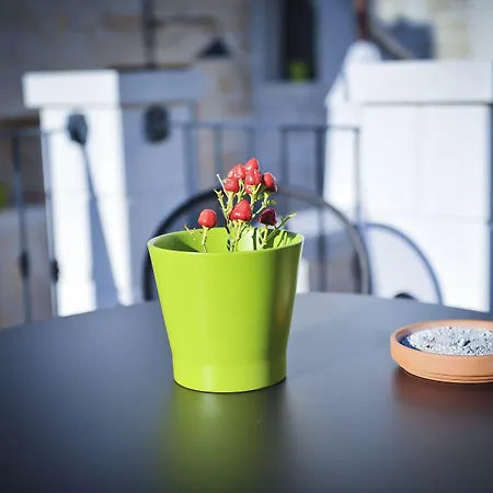 Savito Martina Franca