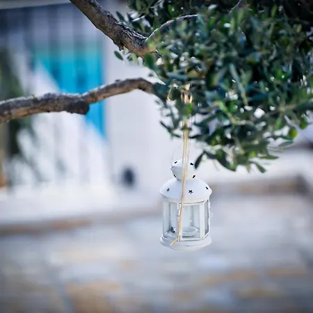 Savito 3* Μαρτίνα Φράνκα