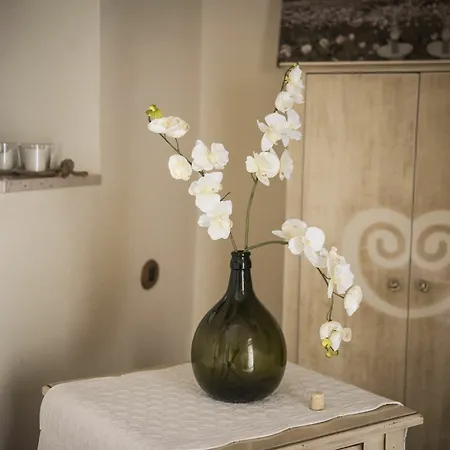 Guest house Savito